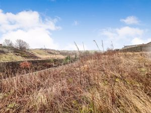 LAND- click for photo gallery